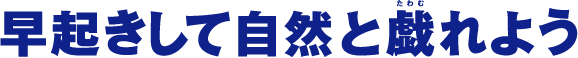 早起きして自然と戯れよう