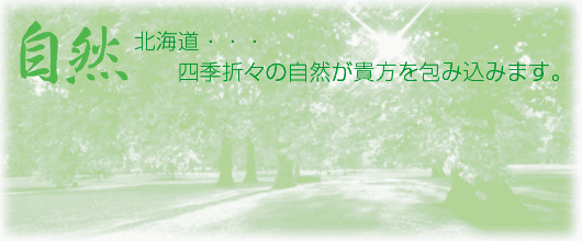 自然　北海道・・・四季折々の自然が貴方を包み込みます。