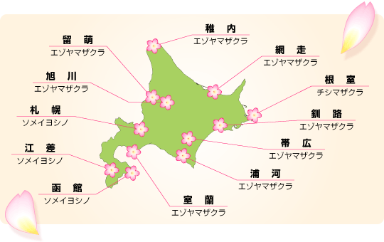 北海道内の気象庁桜開花の基準木