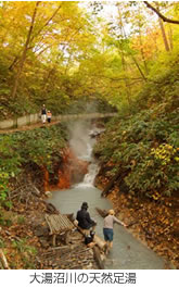 大湯沼川の天然足湯