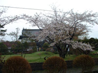 亀田記念公園